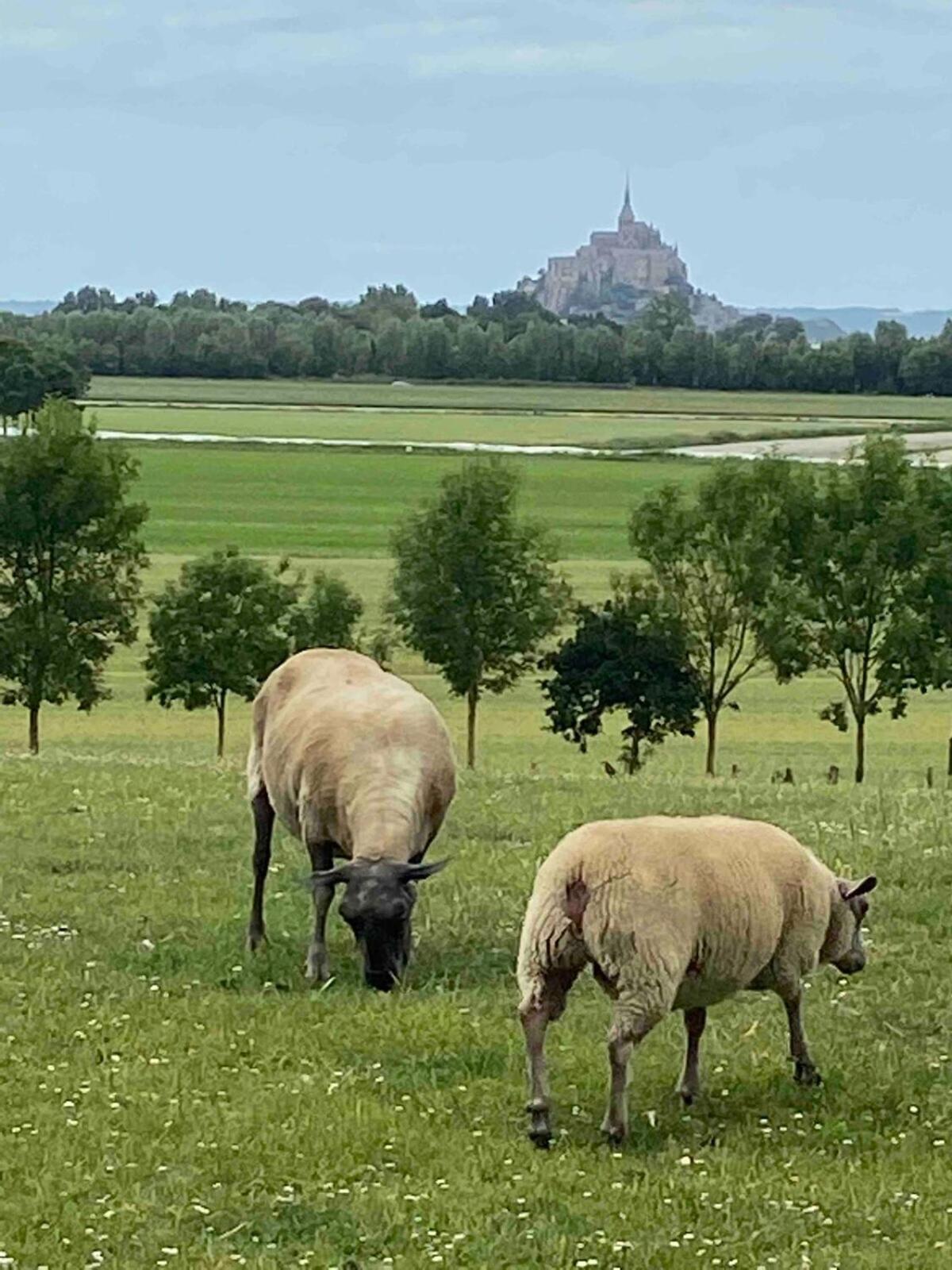 Gites Le Mont Desclos Saint Michel ボーヴォワール 部屋 写真